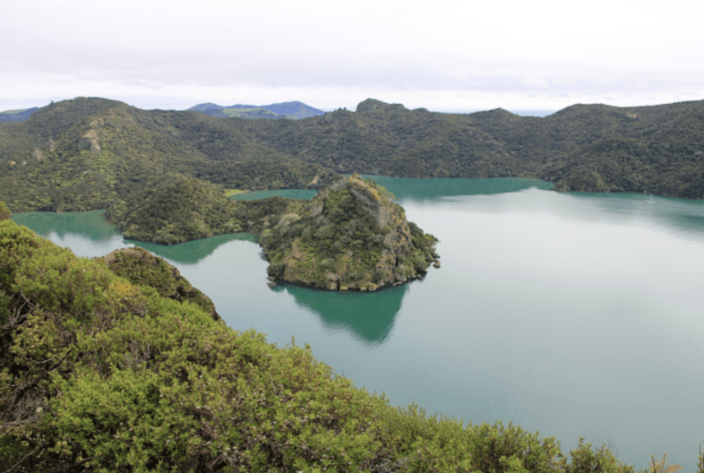 10 Things to Do in Northland in Summer